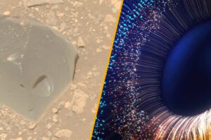 {"role":"assistant","content":"Amazing Week in Science: Stunning Mars Skull, Mind-Blowing New Color Discovered","refusal":null,"annotations":[]}